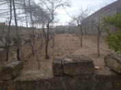 Satılır 3 sot torpaq Sabunçu