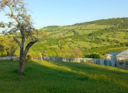 Satılır 12 sot torpaq Quba