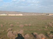 Satılır 26.5 sot torpaq Novxanı