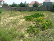 Satılır 12 sot torpaq Bilgəh