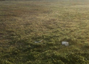 Satılır 3 sot torpaq Naxçıvan