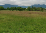 Satılır 45 sot torpaq Qəbələ