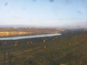 Satılır 10 sot torpaq Mehdiabad