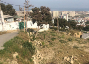 Satılır 3.8 sot torpaq Badamdar