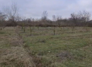 Satılır 20 sot torpaq Göyçay