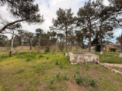 Satılır 25 sot torpaq Şüvəlan