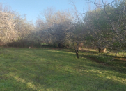 Satılır 30 sot torpaq İsmayıllı