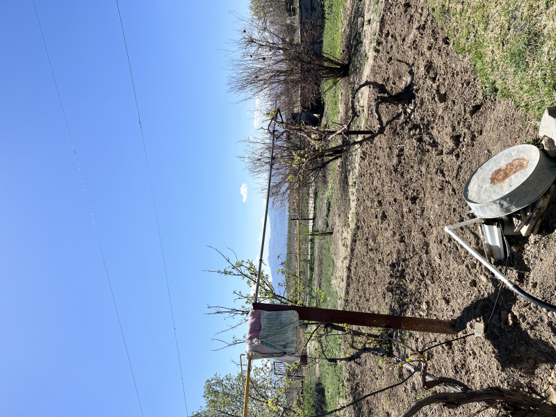 Satılır 5 sot torpaq Naxçıvan