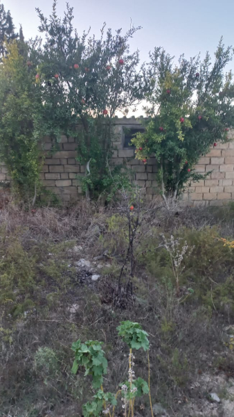 Satılır 10 sot torpaq Dübəndi bağları
