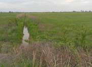 Satılır 351 sot torpaq Kürdəmir