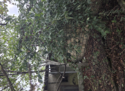 Satılır 4 otaqlı 100 m2 bağ evi Xaçmaz