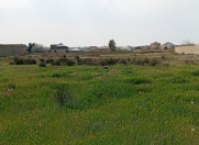 Satılır 48 sot torpaq Nardaran