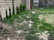 Satılır 6 sot torpaq Türkan