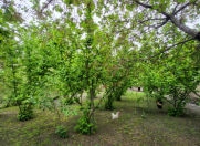 Satılır 4 otaqlı 150 m2 həyət evi Xaçmaz