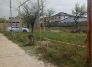 Satılır 6 sot torpaq Türkan