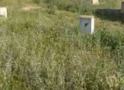 Satılır 150 sot torpaq Məhəmmədli