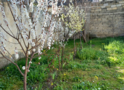 Satılır 2 otaqlı 80 m2 həyət evi Biləcəri