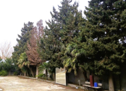 Satılır 8 sot torpaq Koroğlu m.