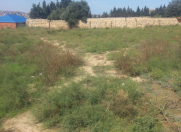 Satılır 5 sot torpaq Digah