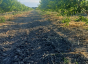 Satılır 436 sot torpaq Xudat