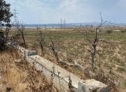 Satılır 246 sot torpaq Məhəmmədli