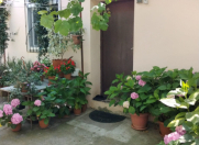 Satılır 3 otaqlı 65 m2 bağ evi Novxanı